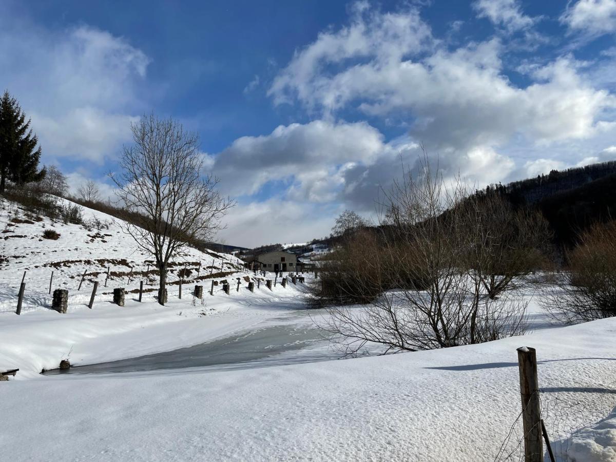 Apartment Myto Polana